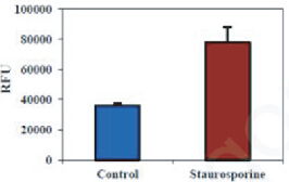 BBI細(xì)胞組學(xué)產(chǎn)品秋冬促銷火熱開(kāi)啟，放開(kāi)價(jià)勢(shì)無(wú)需再等
